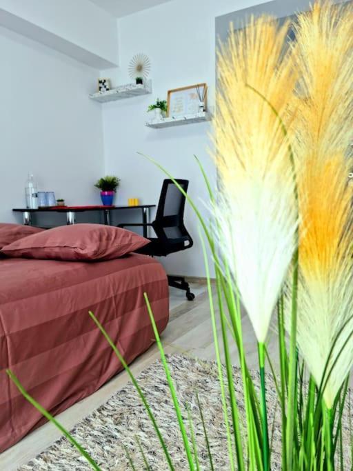Apartament Ultracentral Magheru Studio Bukareszt Zewnętrze zdjęcie